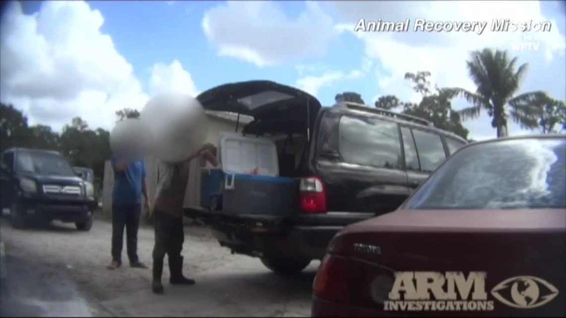 Florida slaughterhouse raided