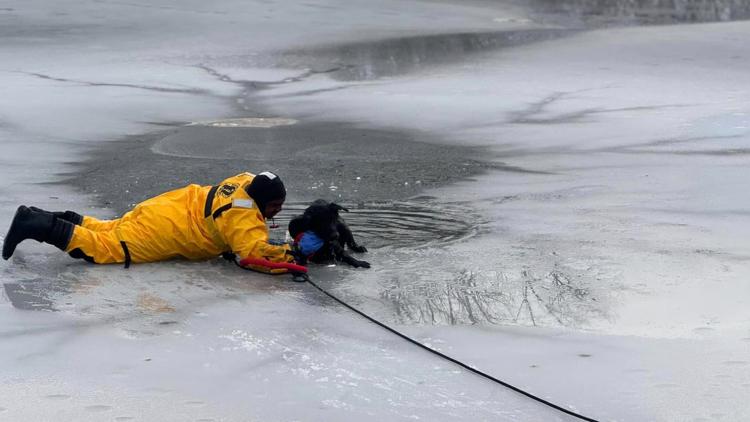IFD rescues dog stuck in frozen pond on Indy’s far east side