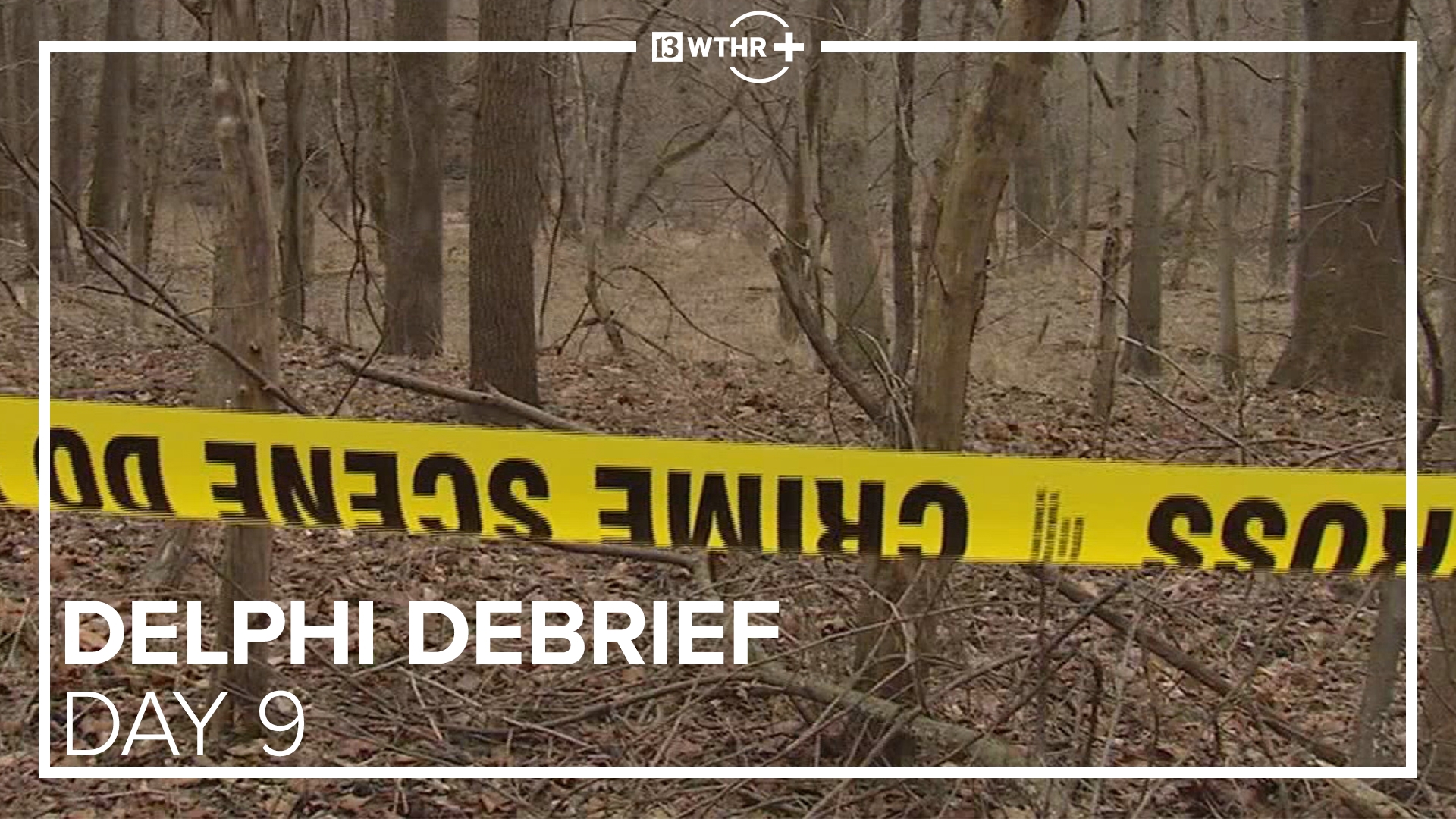 13News breaks down day 9 of the Delphi murders trial. Blood pattern expert also says Libby German's body was moved.