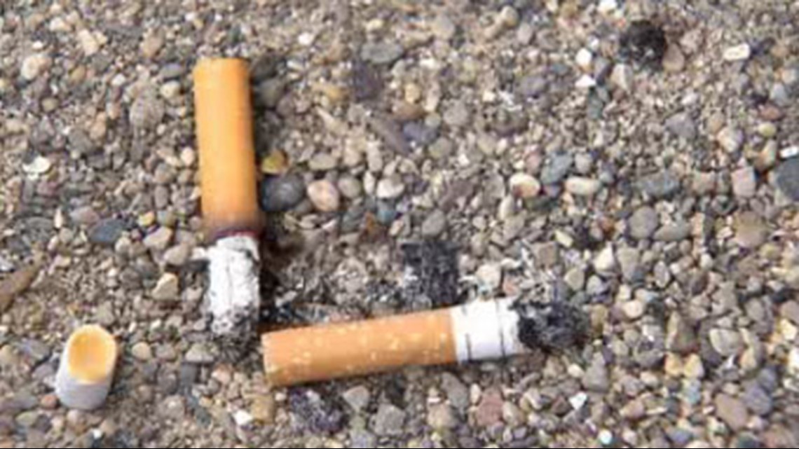 Parks to be added to Marion County smoking ordinance. - Vimarsana News