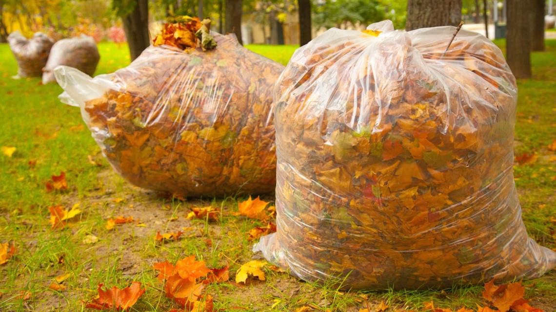 Free Fall Leaf Collection Bags Available for Piscataway Households