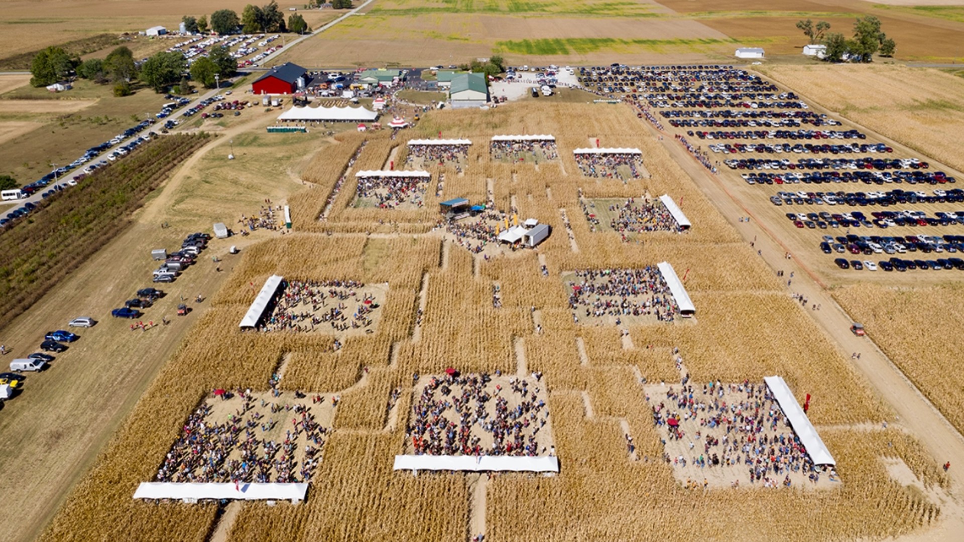 Columbus brewery hosting beer festival in a corn maze