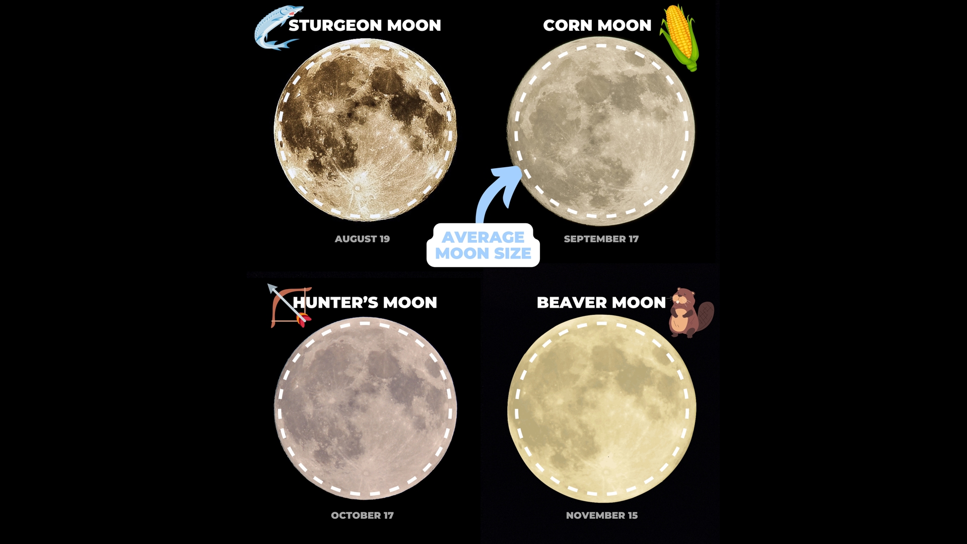 4 supermoons coming in a row How large will they appear?