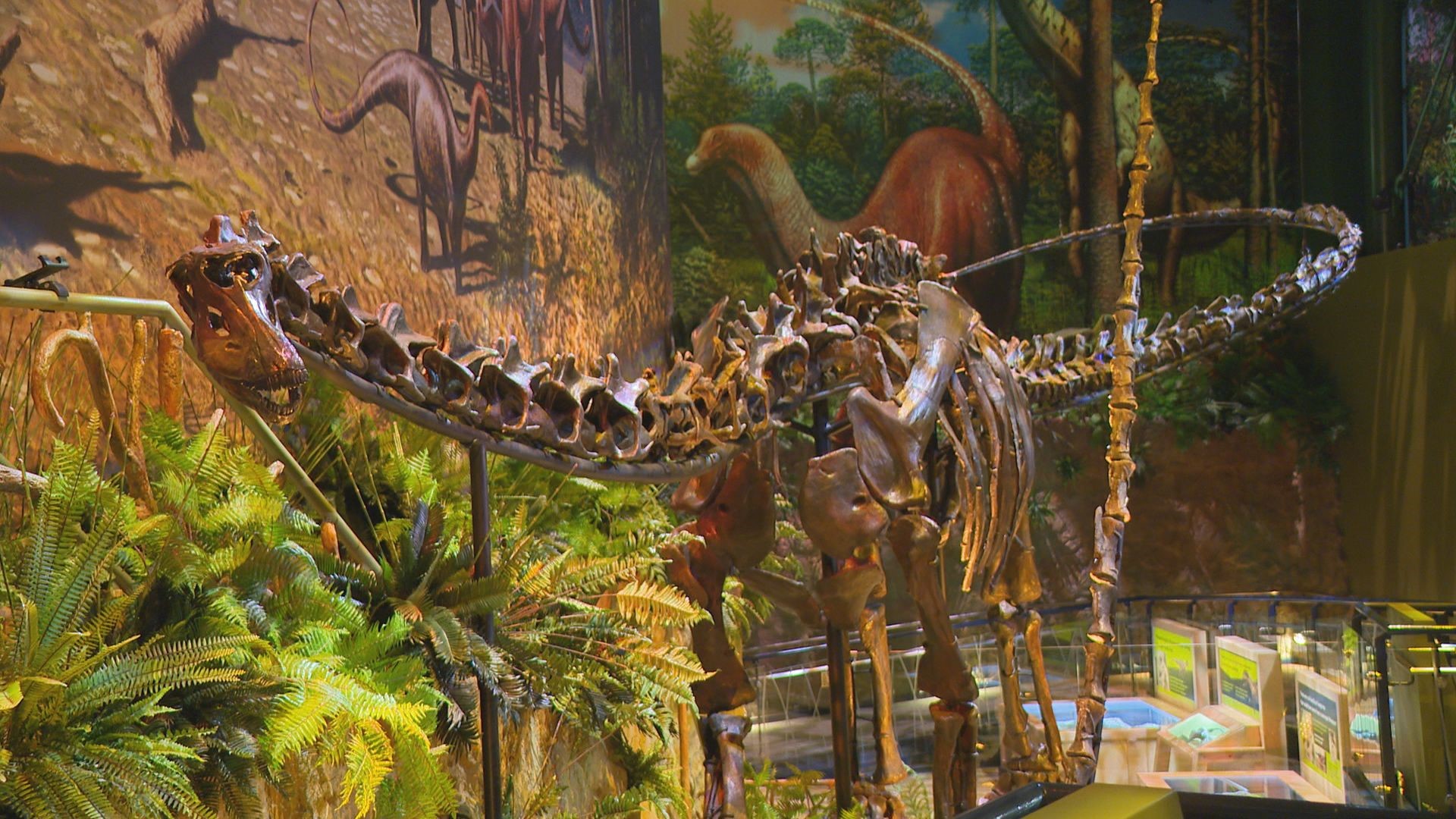 The new exhibit features plenty of hands-on experiences to help kids learn about the dinosaurs they are seeing.