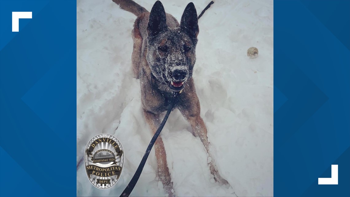 Indiana police help out and have fun during snowstorm - Vimarsana News