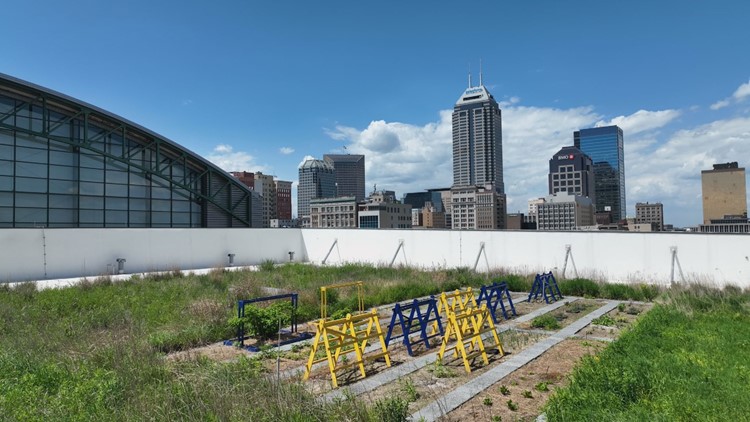 Pacers rooftop garden supplying food for team, Indy community