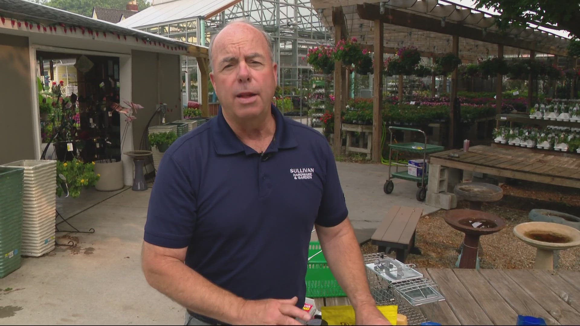 Pat Sullivan, of Sullivan Hardware & Garden, shares tips on tackling lawn and garden issues.