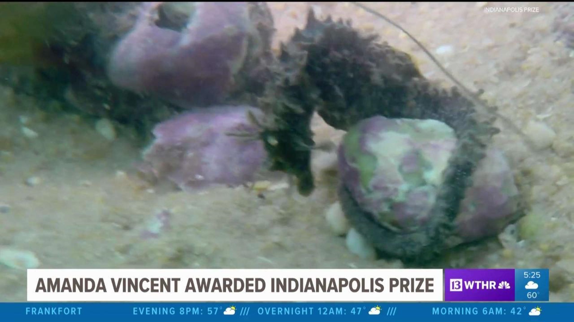 Indianapolis Prize winner announced