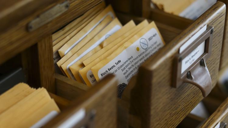 Free seed program now offered at all Indianapolis Public Library branches