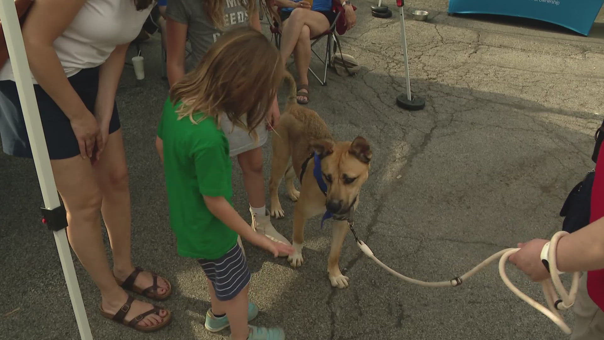Organizers called it a great opportunity for people to find the right pet to take home.