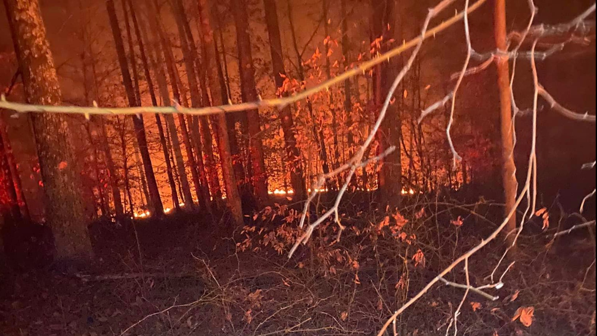Firefighters battle brush fire at Brown County State Park | wthr.com