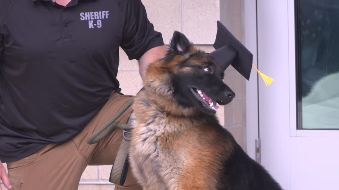 Former shelter, rescue dogs 'graduate' to become police K-9s