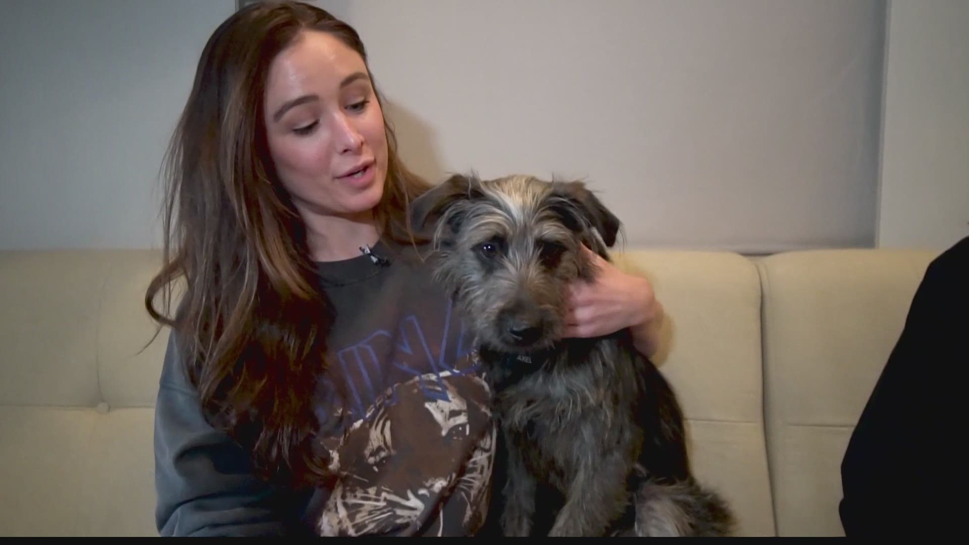 Laura Steele introduces you to the pets loved by IndyCar drivers and their families