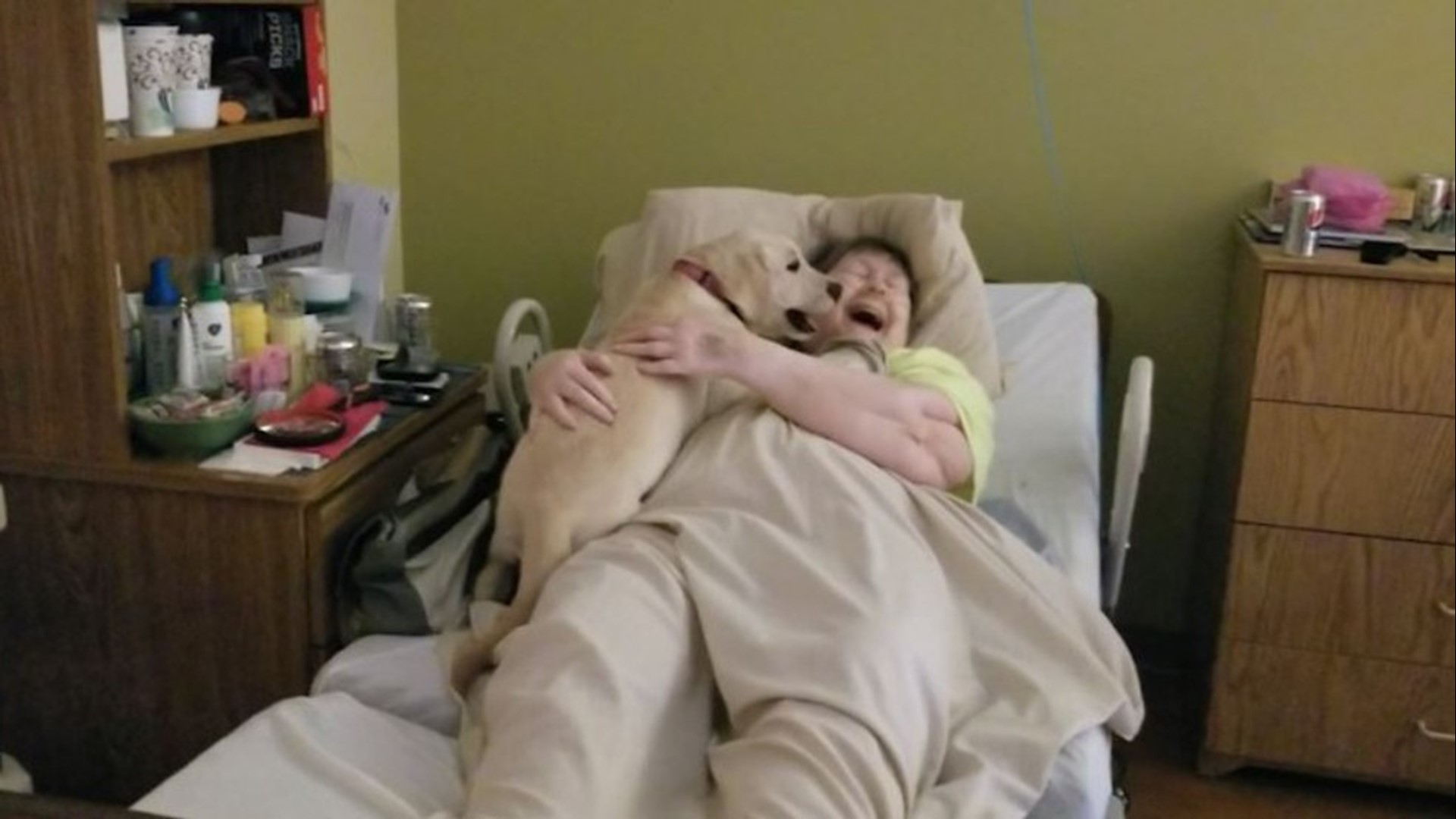 A yellow lab puppy goes to a Wisconsin nursing home every Monday to play with the residents in lockdown.