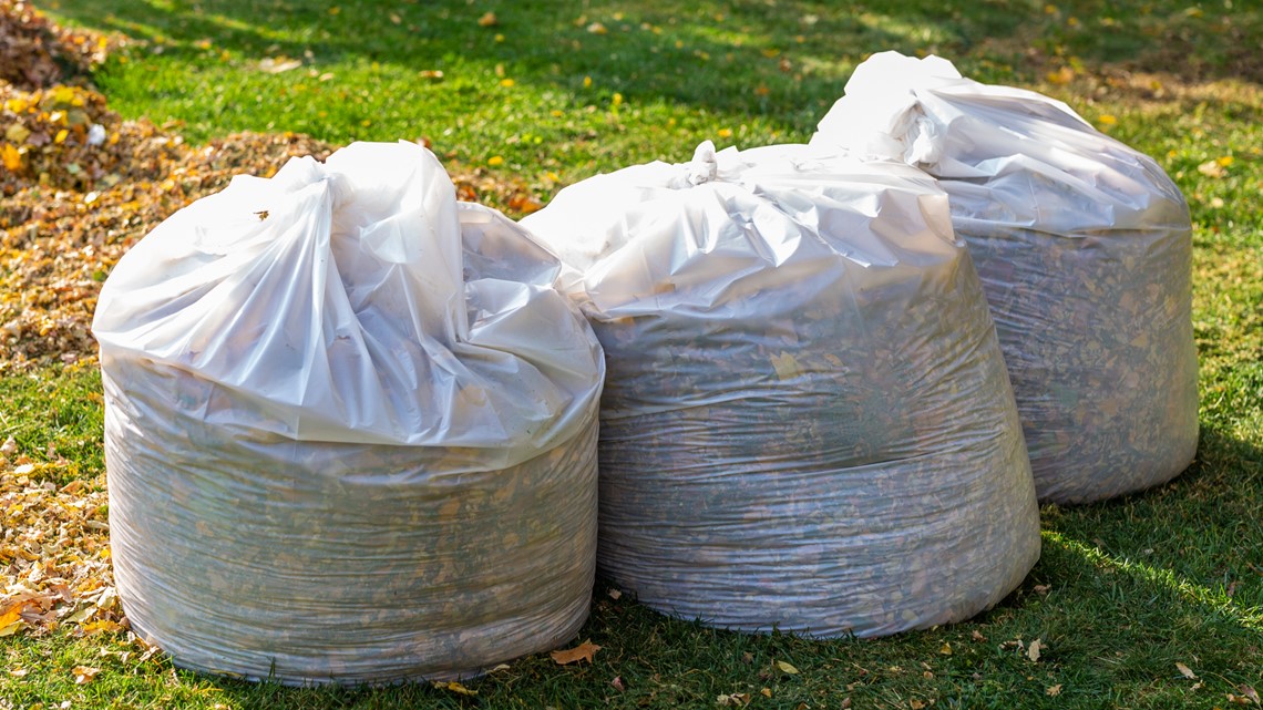 Leaf collection in Indianapolis begins Nov. 8 - Vimarsana News