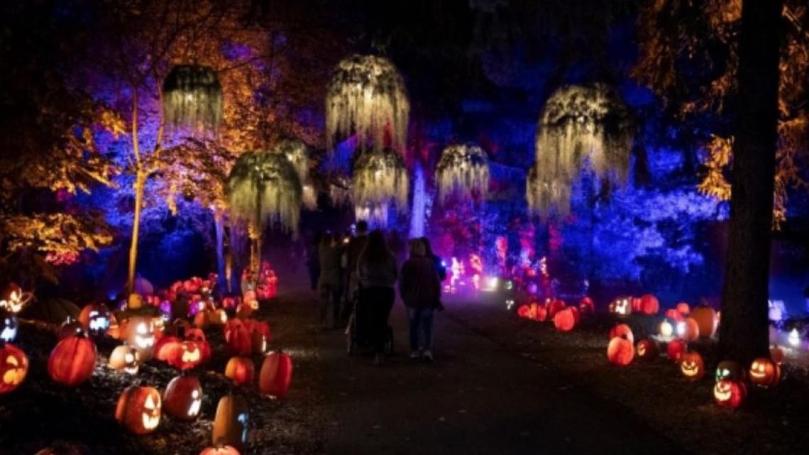 harvest-nights-returns-to-newfields-in-september-wthr