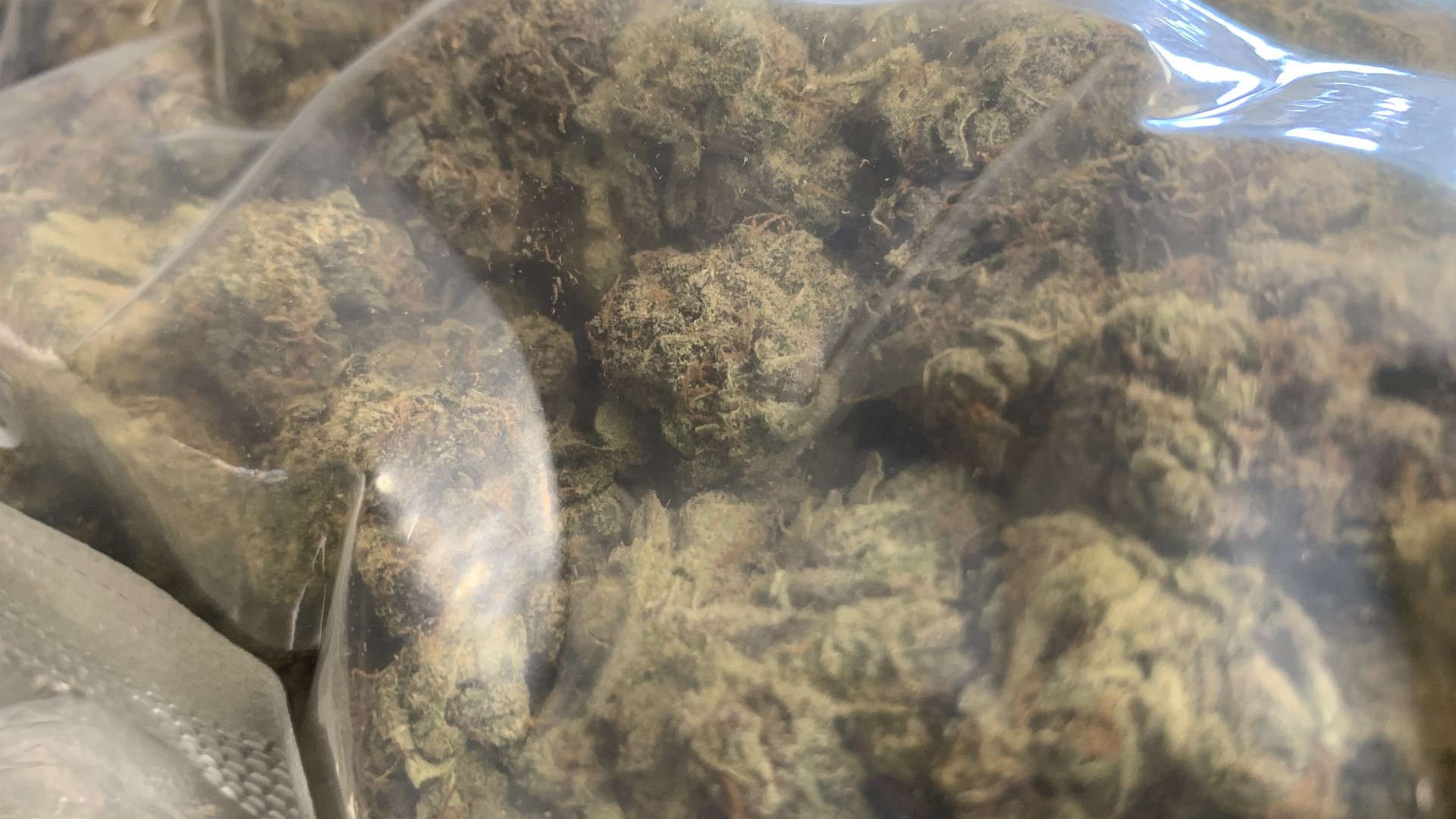 The passengers are accused of having 10 pounds or more of marijuana in their luggage.