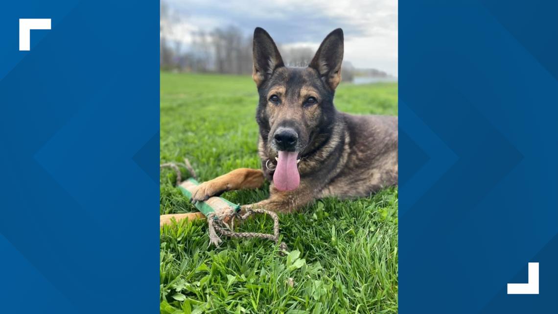 Indiana State Police mourns loss of retired K-9 Jordy