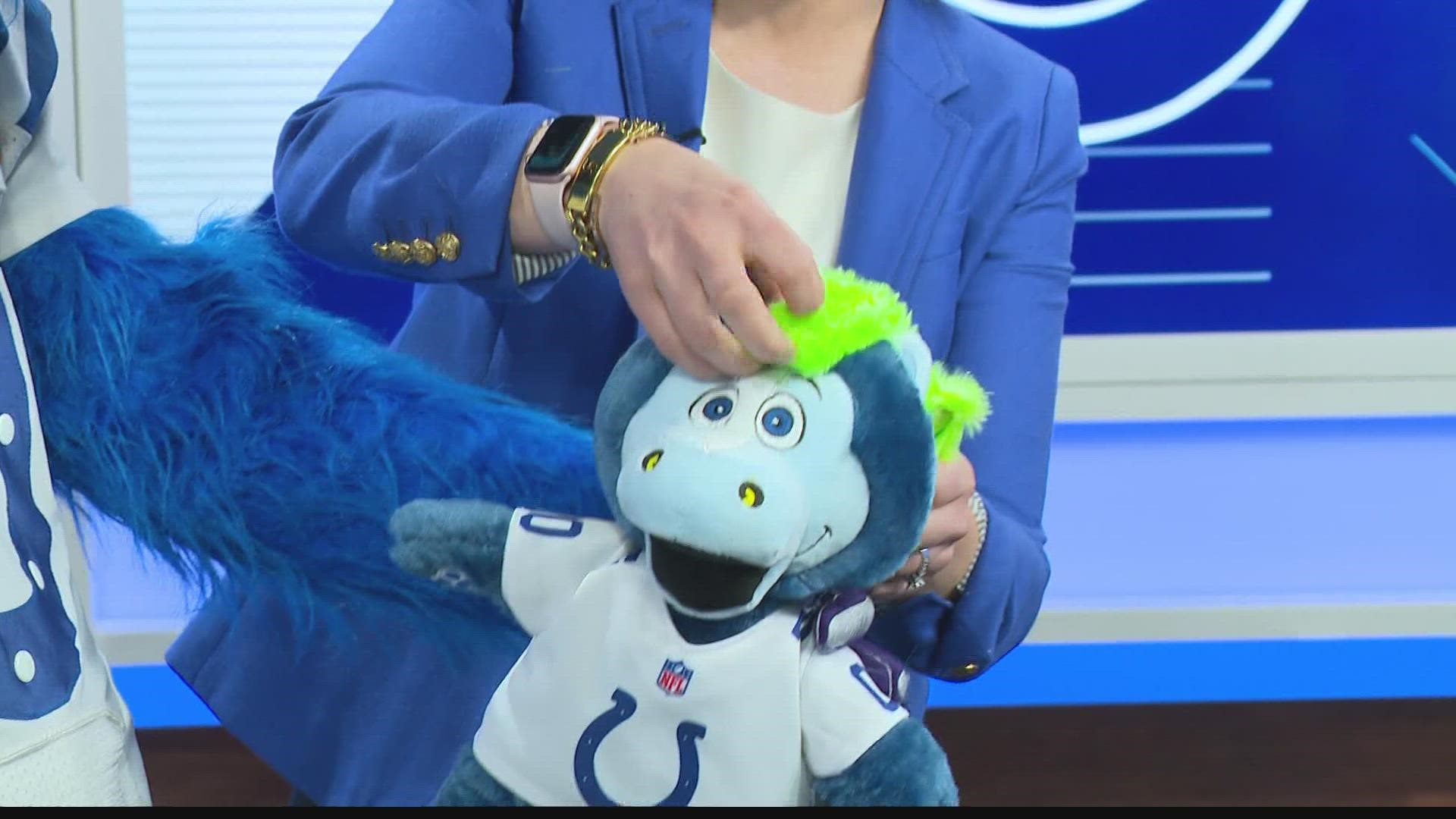 The Colts partnered with Build-A-Bear to produce a new stuffed replica of their mascot, Blue.