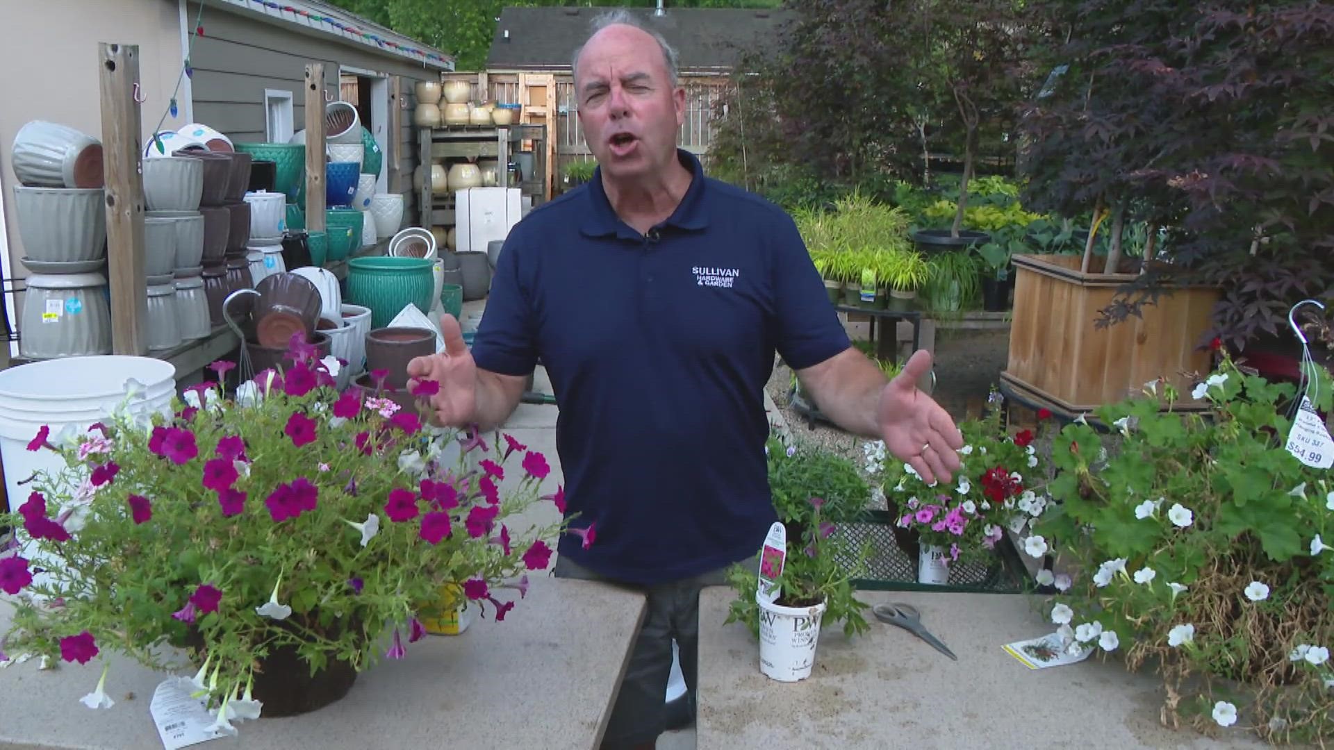 Pat Sullivan shows you how to maintain your home during the summer from taking care of your flowers, patio furniture and more!