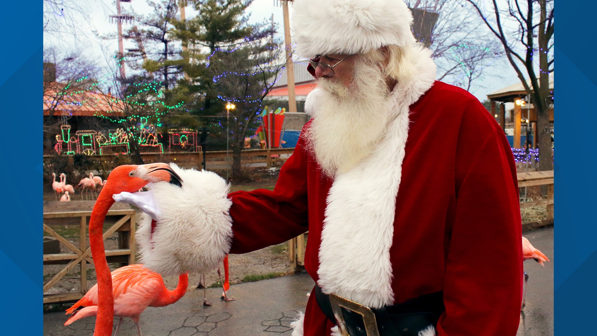 Christmas at the Zoo returns for 54th year