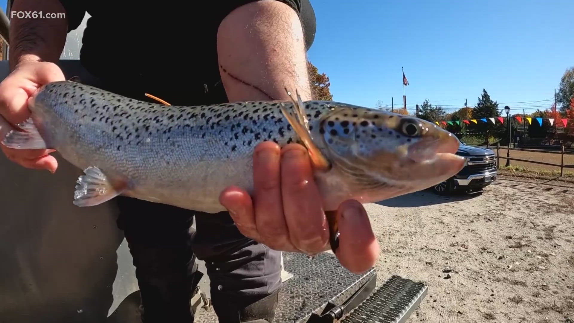 The new Atlantic Salmon Tagging initiative is up and running in two local rivers.