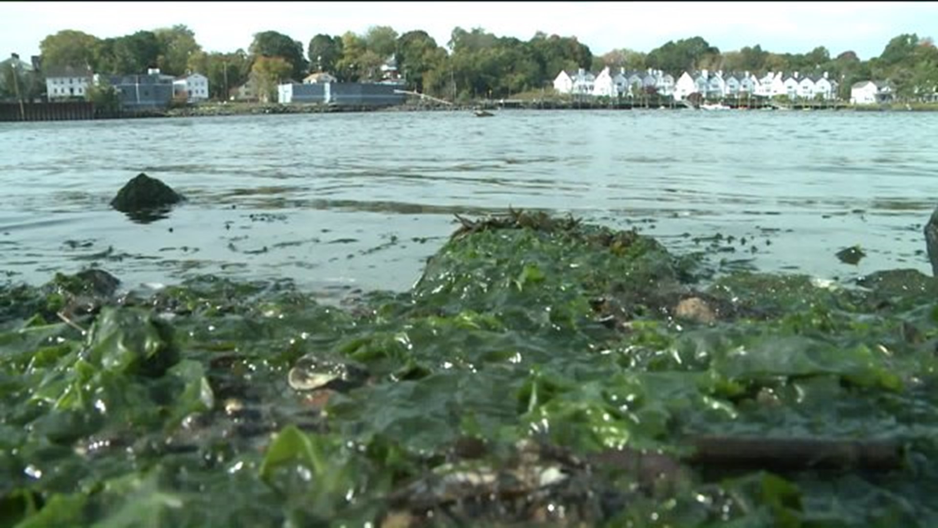 Pollution in Quinnipiac River cause for health concerns