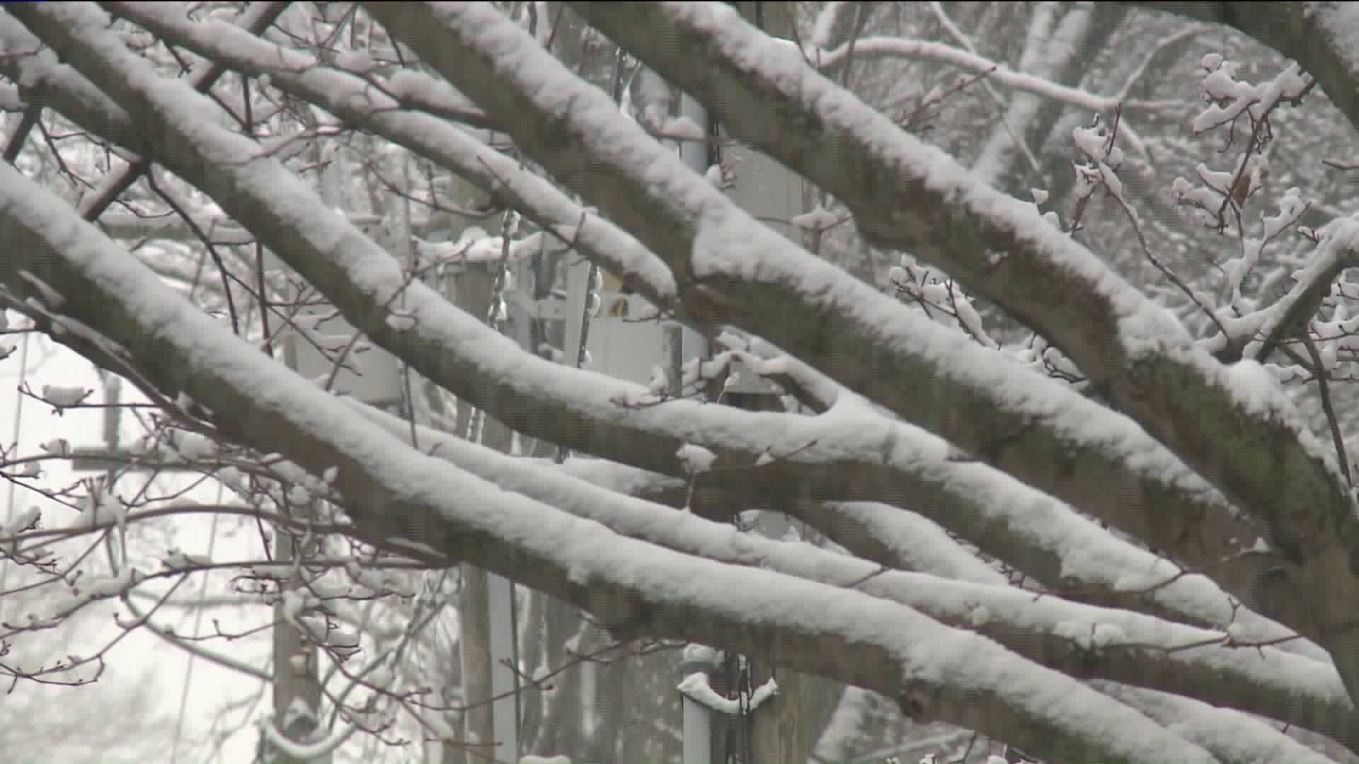 Schools close due to light snow