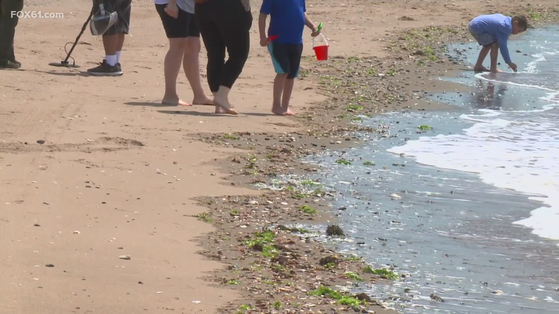 Greenwich beachgoers warned of spike in swimmer's itch cases