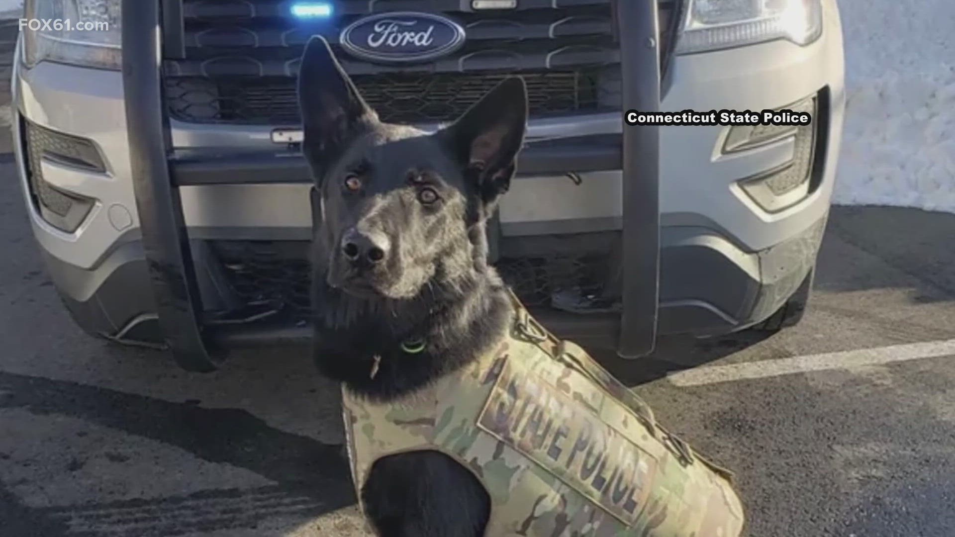 'Broko' was killed last month in the line of duty while trying to subdue a fleeing suspect in Stonington.