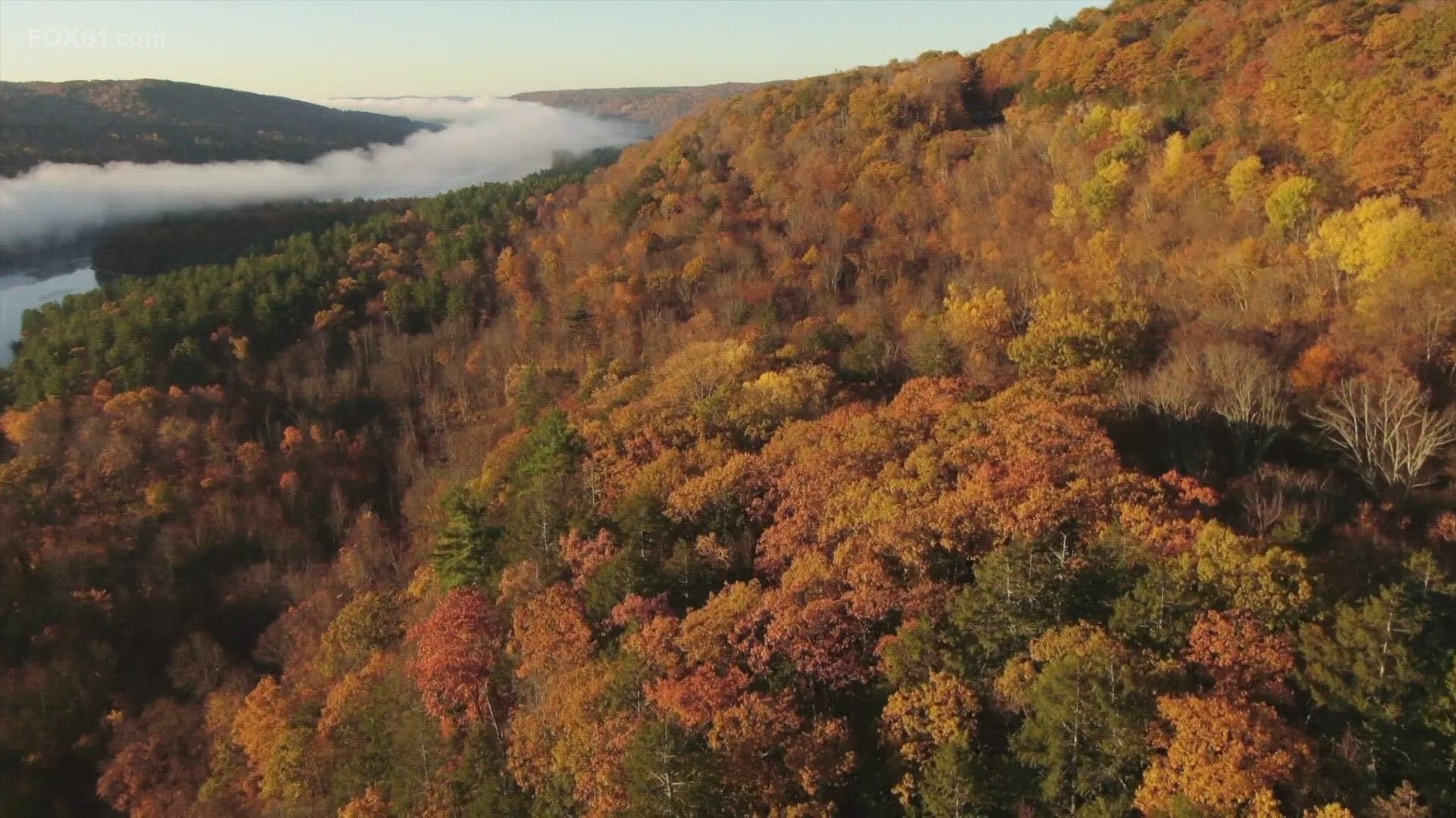 Very wet weather will lead to fewer vibrant red colors, but foliage forecaster Jim Salge says New England should expect a pastel peak arriving on time or a bit late.