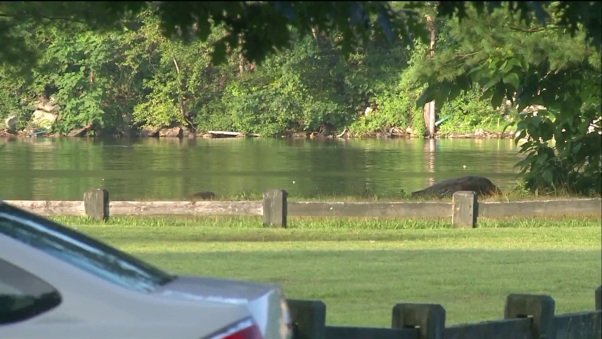 Man recovering after nearly drowning at Indian Well State Park in Shelton
