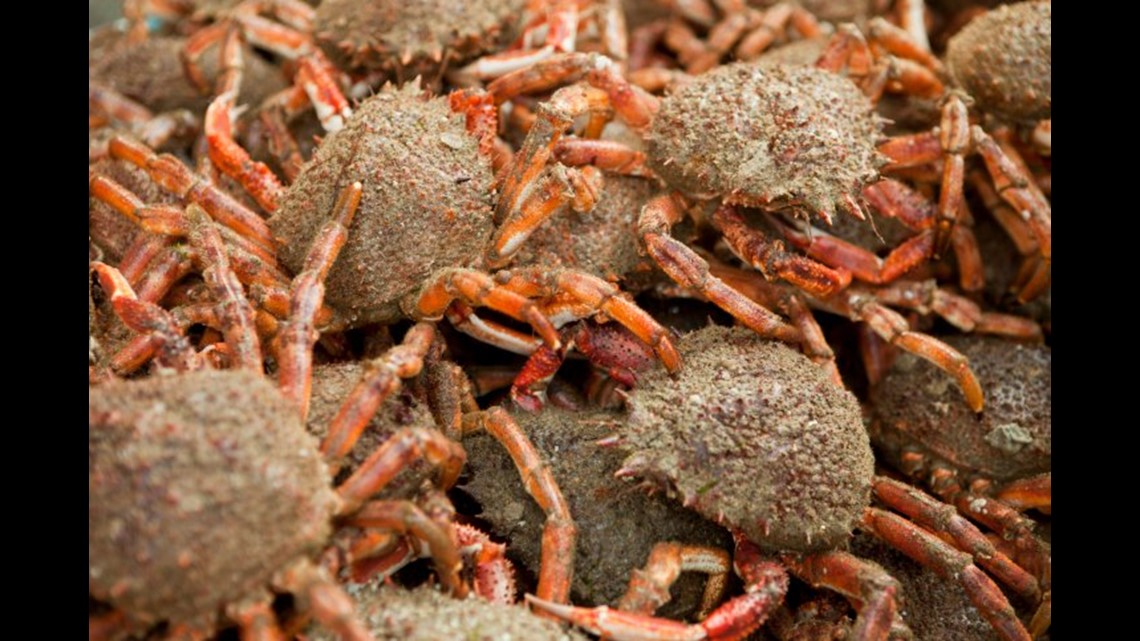 Crabs On US Airways Plane Delay Flight At LaGuardia