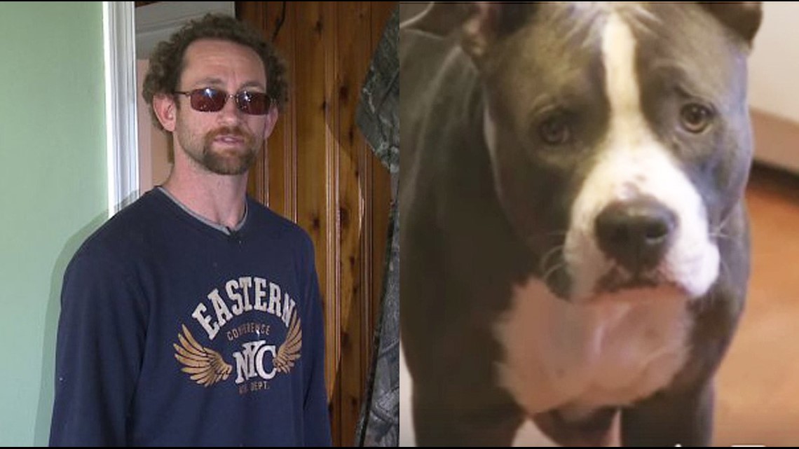 craigslist wire fox terrier