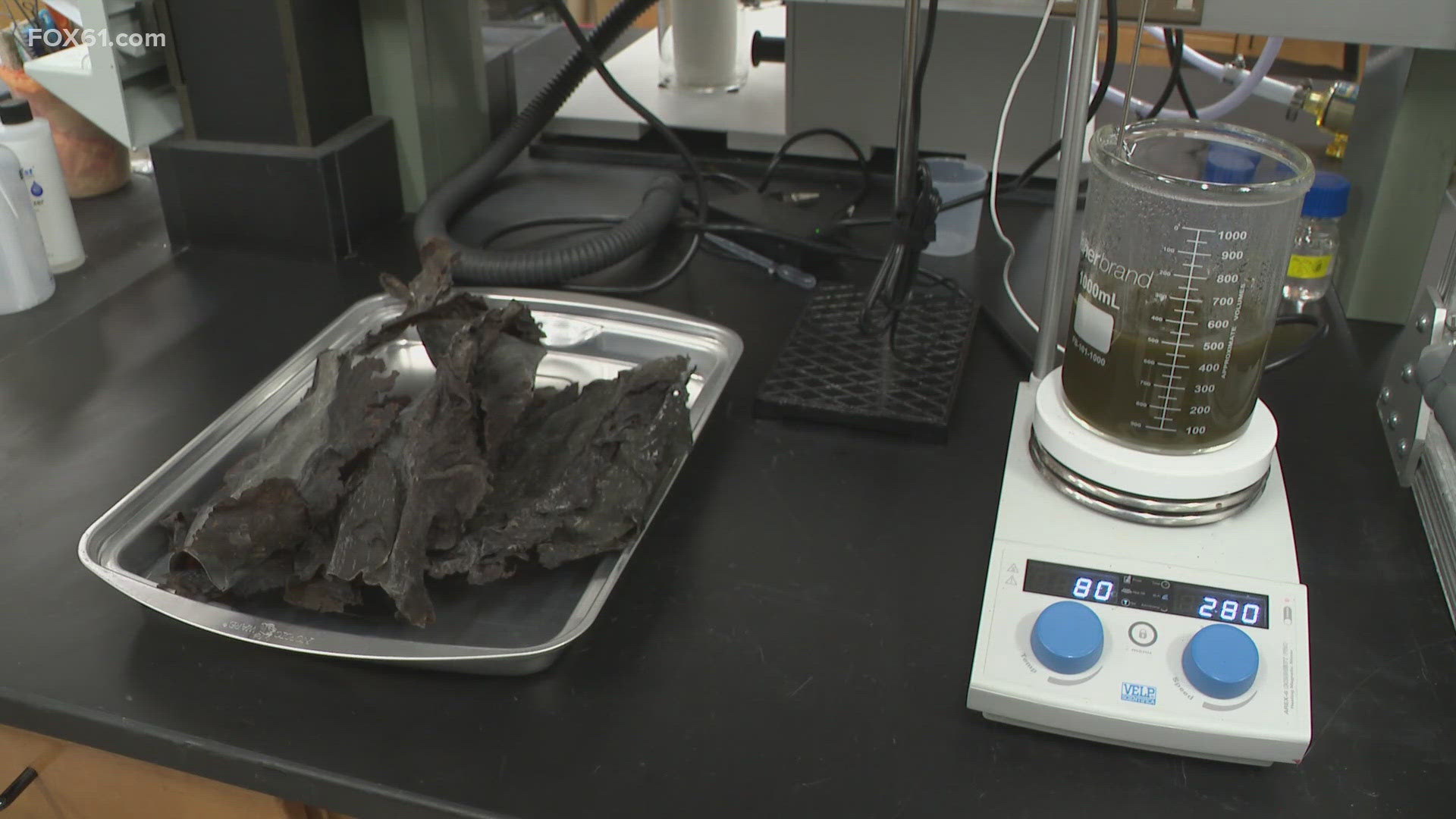 Researchers at UConn say they've developed tech to cutdown on moldy fruit. Atlantic Sea Solutions is diving deep in Long Island Sound for a solution.