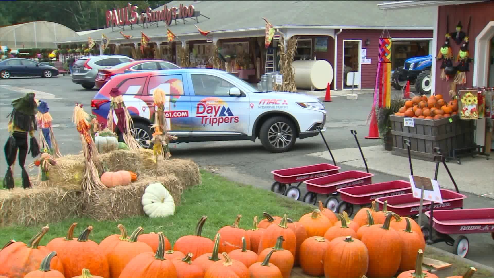 Daytrippers: Pumpkintown a fall favorite in East Haddam