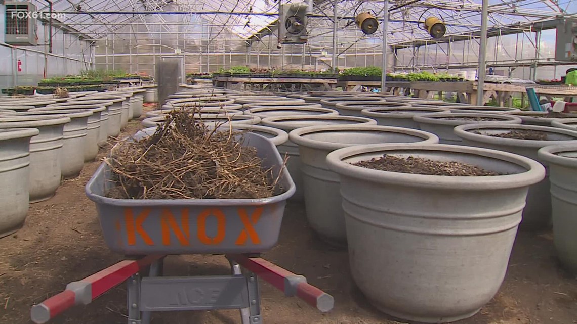 Gearing up for Earth Day, Knox Inc. asks people to get their hands dirty