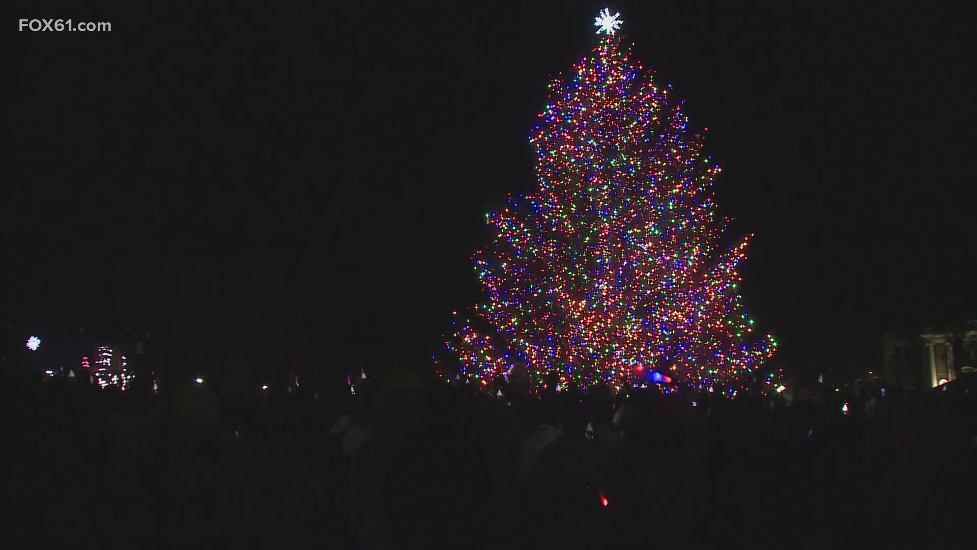 The tree lighting will take place on the New Haven Green on Dec. 5 from 5-7:30 p.m.