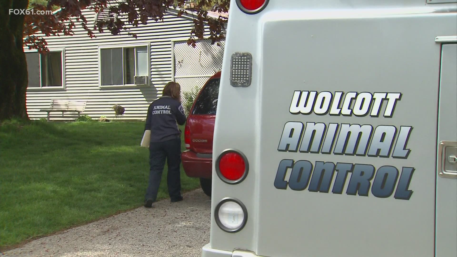 Police said 53 cats were found, 12 of which were dead, inside the home.