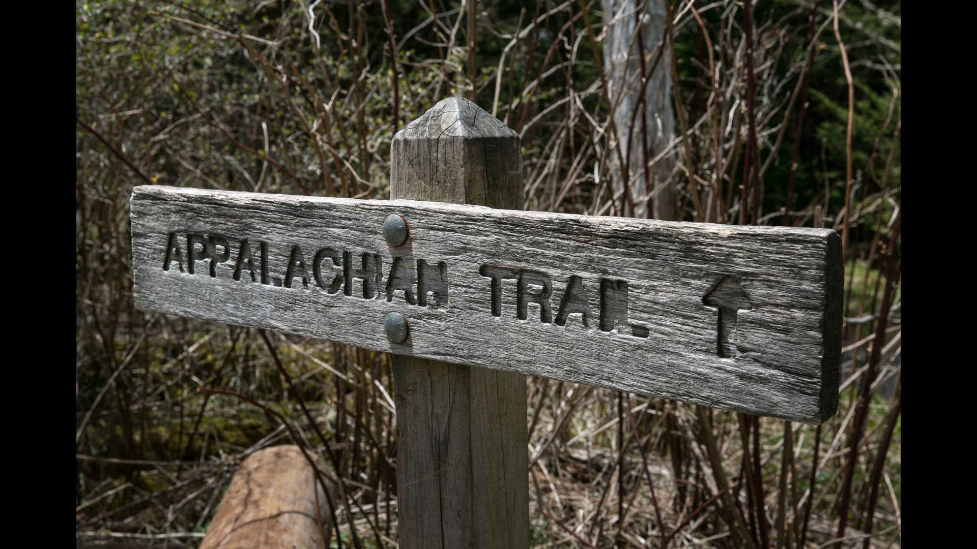 Money Rocks Trail Man who died while rock climbing on Appalachian Trail in Connecticut ...