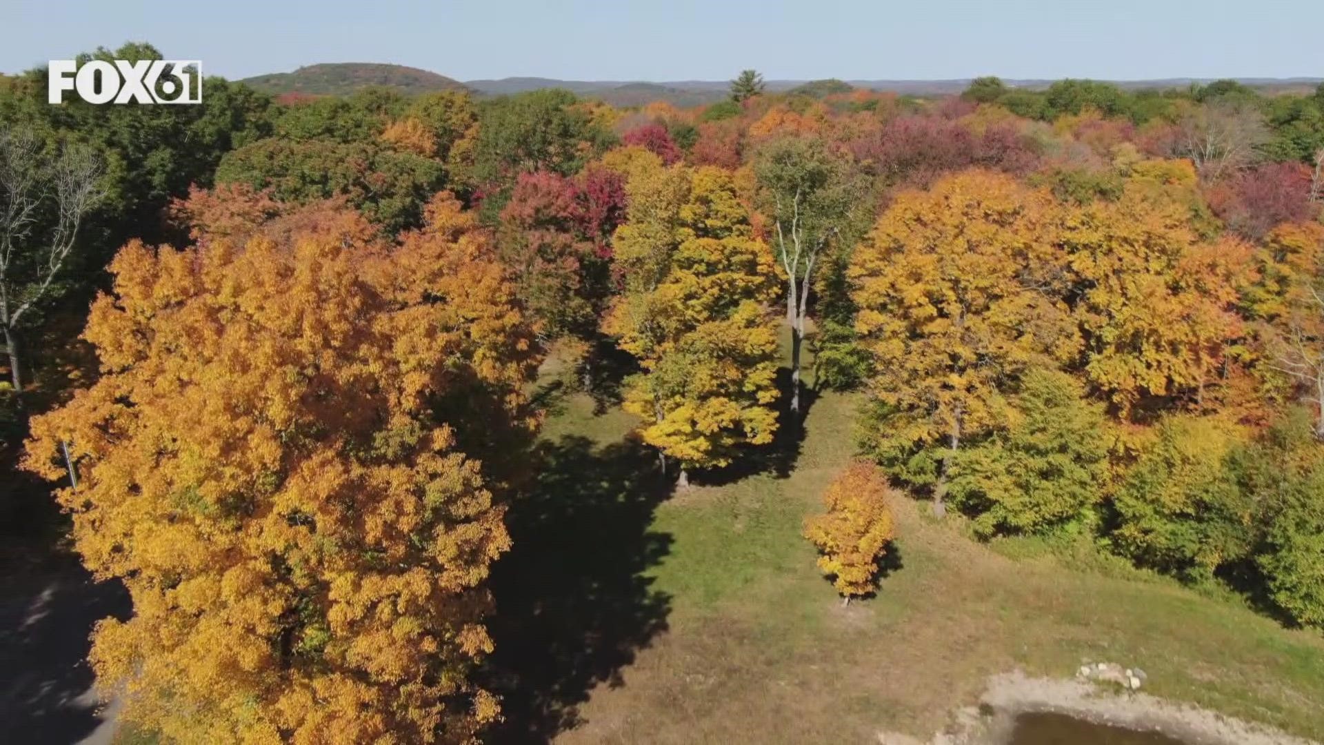 Skip Vermont! Connecticut has more fall fun and colorful foliage ...