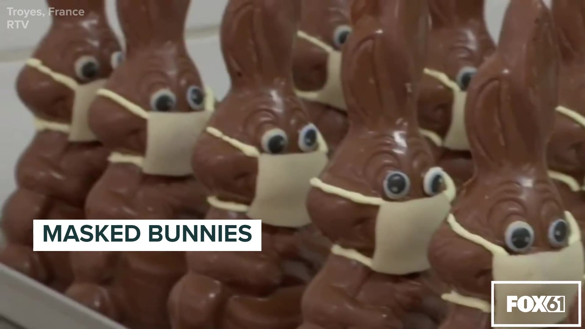 Masked Chocolate Bunnies