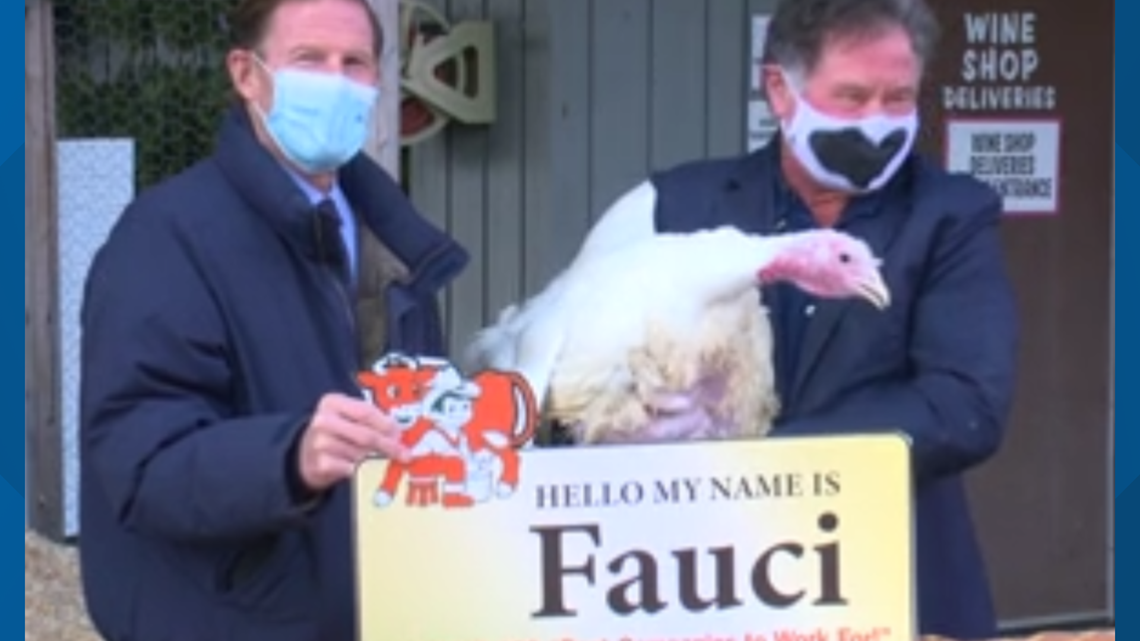 'Fauci' the Turkey gets pardon by Senator Blumenthal