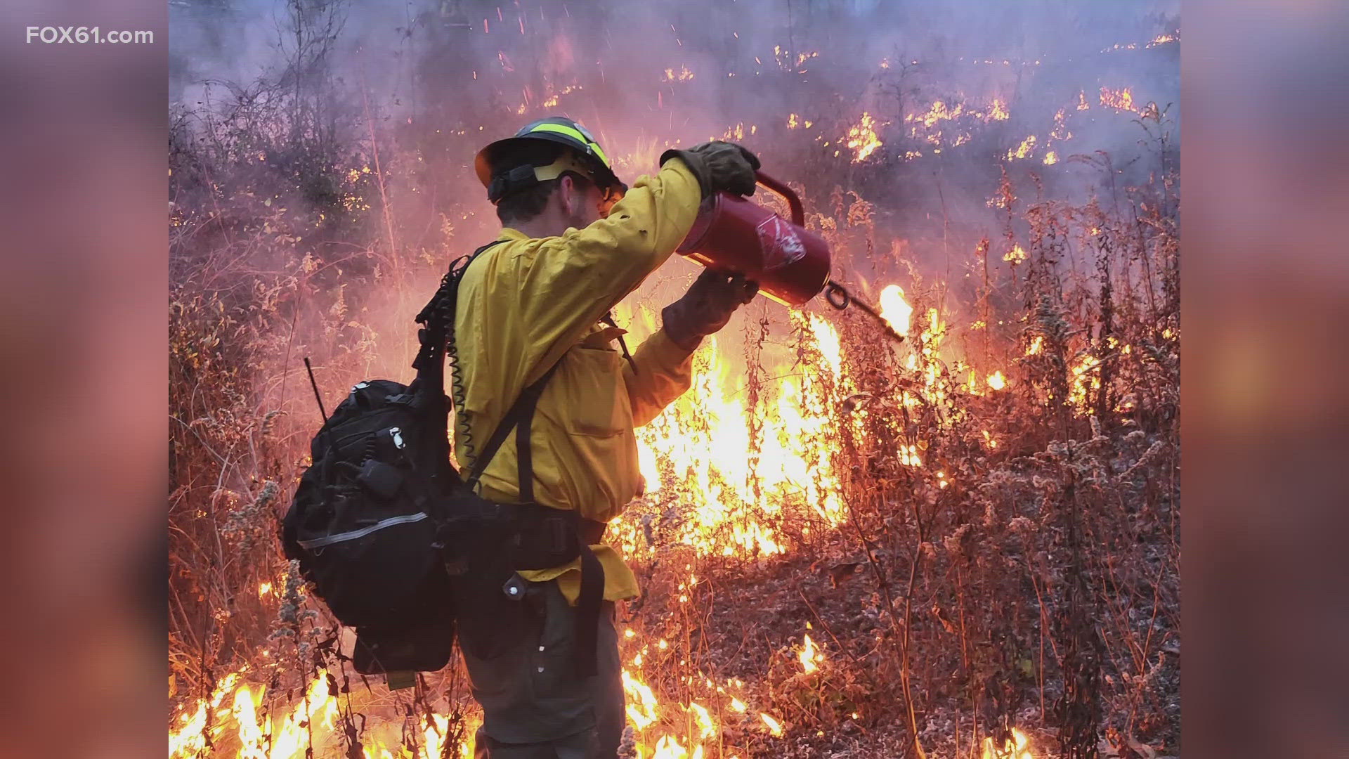 Prescribed burns are happening on a stretch of land crossing the Litchfield and Torrington border. Crews established a burned area that forest fires cannot cross.