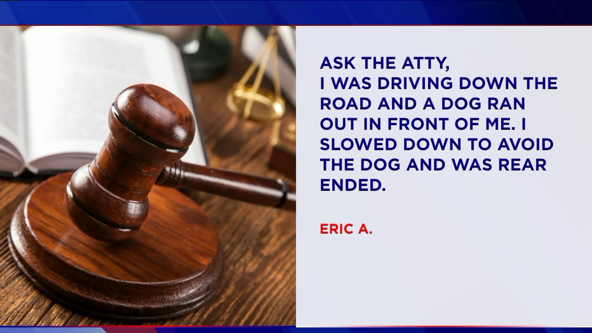 Ask The Attorney: Car slowing for a dog was hit from behind