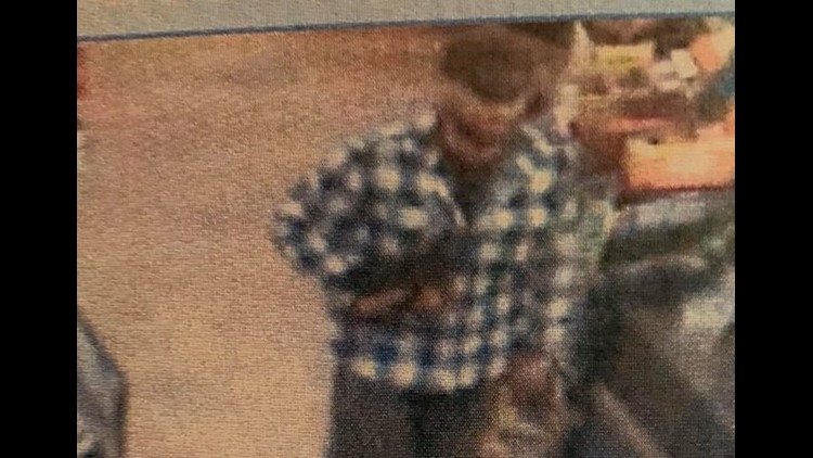 Thief Steals Puppies From Branford Store Dogs Found Thief Still At Large Fox61 Com