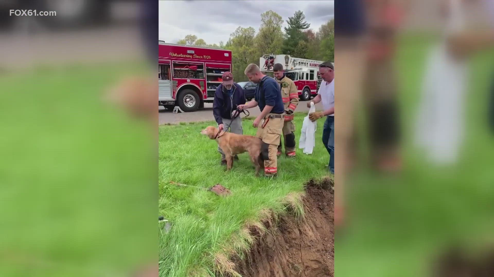 The Bloomfield Center Fire Department posted the story of their rescue efforts on their Facebook page, along with photos of the dog in safe hands.