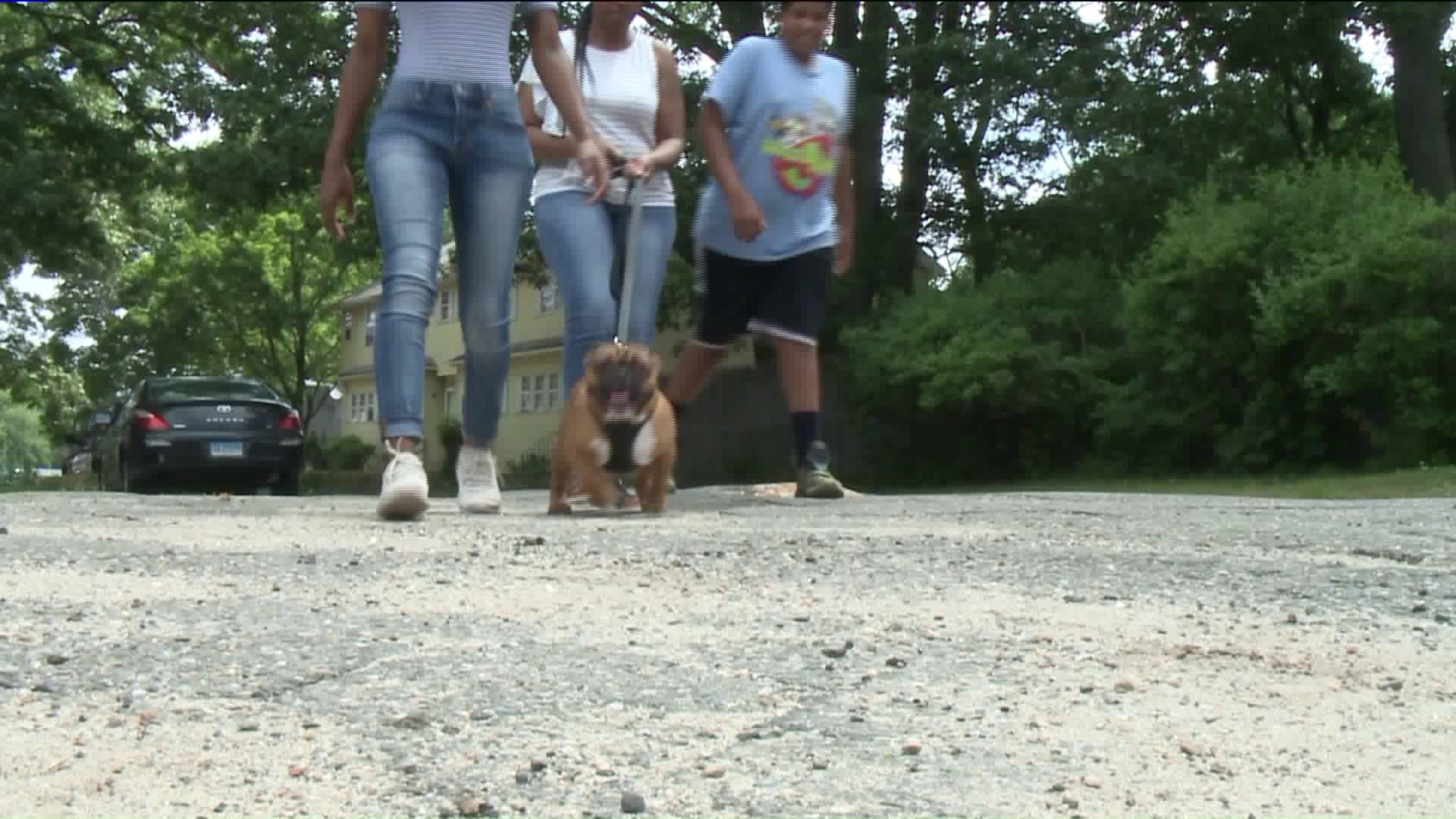 Waterbury family claims a verbal attack on them while walking their dog was racially motivated