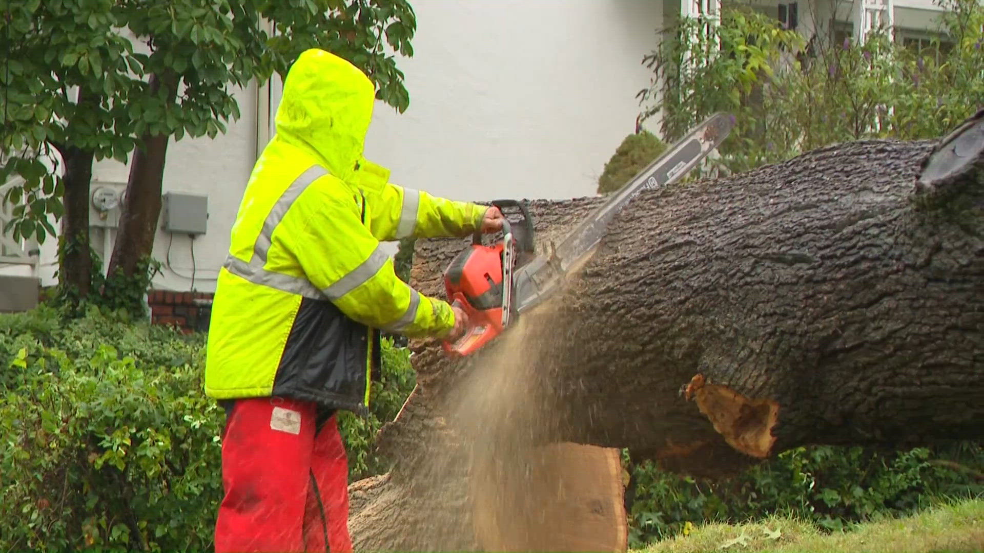 Nor'easter aftermath in Connecticut keeps tree cleanup crews busy ...