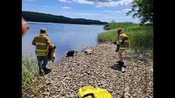 Injured bald eagle rescued in Shelton